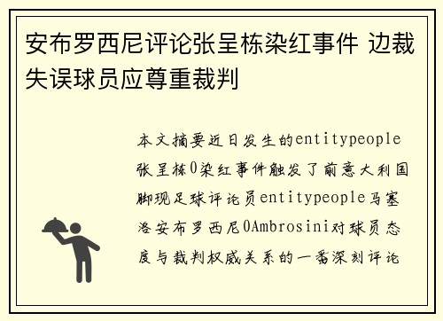 安布罗西尼评论张呈栋染红事件 边裁失误球员应尊重裁判 安布罗西尼评论张呈栋染红事件 边裁失误球员应尊重裁判